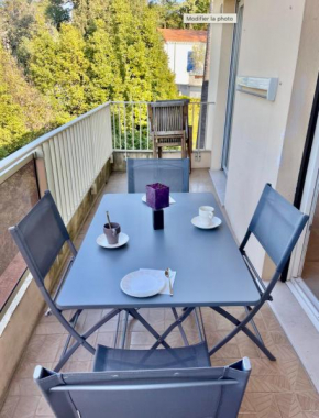BnB Renting Le Cèdre spacious studio in Cannes with a balcony WIFI and AC